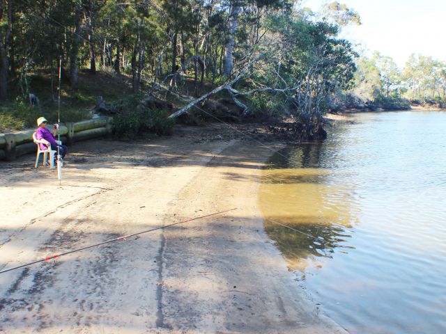 Coochin Creek day-use area is an ideal spot for fishing enthusiasts hoping to catch bream, flathead or mangrove jack.