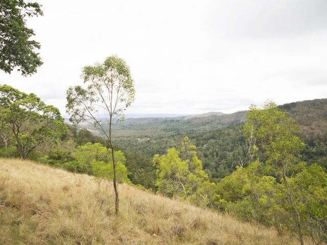 Take in panoramic views of the valley and hills of the South Burnett from Pine Gorge lookout.
