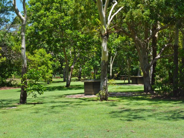 Cook your lunch on the electric BBQs at Cape Hillsborough day-use area.