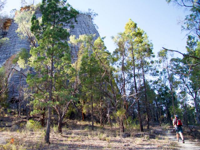 Take a short stroll along the Cathedral Rock walk to see the bluff of ancient Precipice Sandstone.