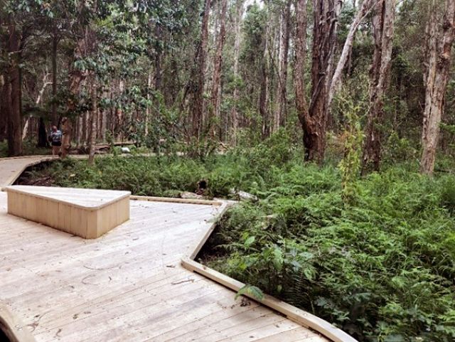 Image of the Paperbark trail.