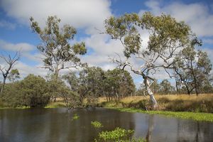 Image of Simpsons Creek waterhole.