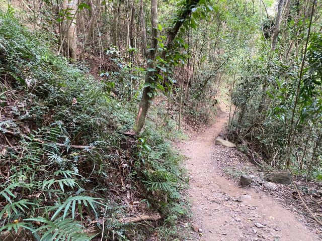 Photo of Dianella walking track.