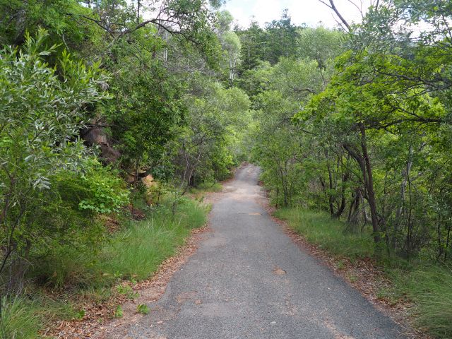 Walk along an old bitumen track linking the destinations. 