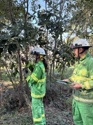 Two Rangers in PPE recording data at a test burn site.