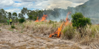 Small fire in the foreground with Rangers observing in the background