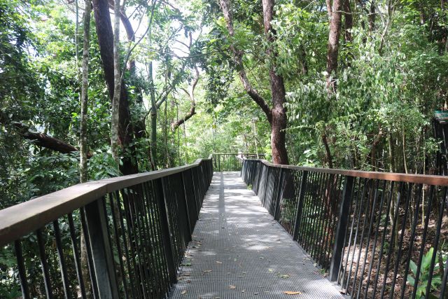 Photo of the elevated boardwalk, which is wheelchair-accessible (with assistance)