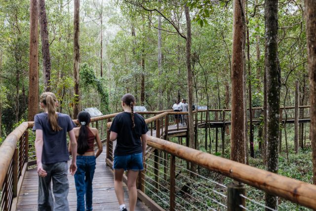 Photo of ramped boardwalk entryway to Daisy Hill Koala Centre.