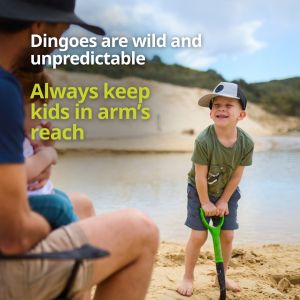 Image of Be dingo-safe social tile - Always keep kids within arms reach