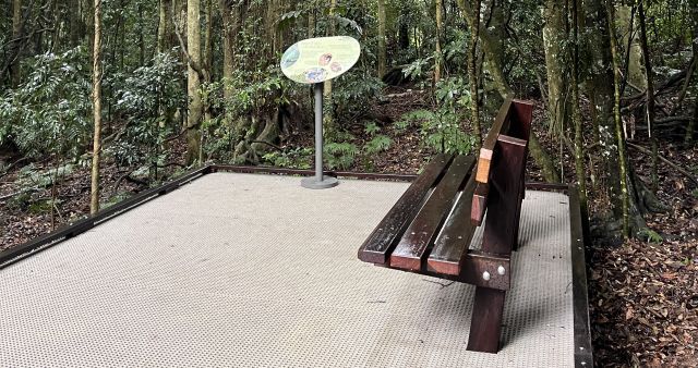 A seat at the end of the Bunya Bunya loop.