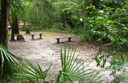 Image of Water Park Creek camp site.