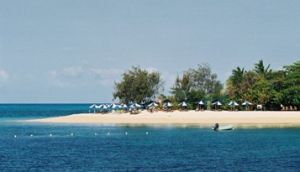Image of umbrellas on a Green Island beach.