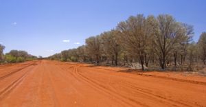 Roads to and within Currawinya are long and dusty
