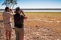 Pack your camera, binoculars or spotting scope. There is much to see at Lake Broadwater. 