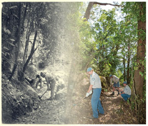 Anna Osetroff © Forestry Department, Queensland Government