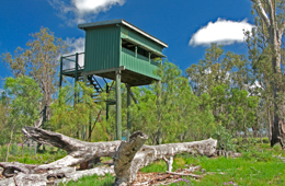 Watch waterbirds from the bird hide near the lake's 'neck'. 
