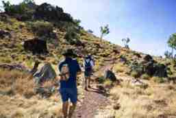 Stay on the walking track and take care on uneven track surfaces.