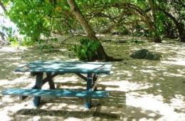 Image of the camping area at High Island.