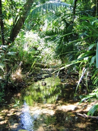 Waterways provide many resources