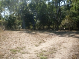 Dingo Waterhole camping area