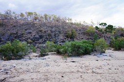The North Palmer River may be dry, depending on the time of year and annual rainfall. 