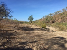The lower section of the North Palmer River camping area. 