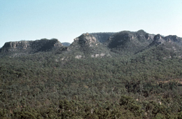 Image of sandstone outcrops surrounded by eucalypt woodland at Salvator Rosa.