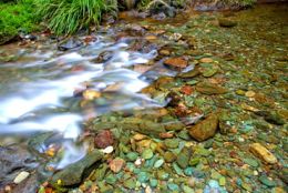 Weathered stones create a colourful bed below the clear waters of Booloumba Creek. 