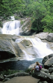 Josephine Falls. 