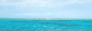 Image of Upolu Cay at low tide.