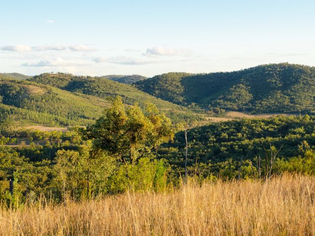 Enjoy great views of the park on the Western circuit.