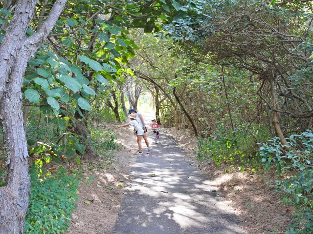 Enjoy an easy stroll, or scoot, along the trail.