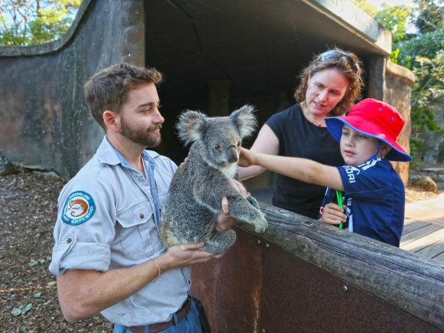 Get up close to some of Queensland's most iconic creatures at David Fleay Wildlife Park.