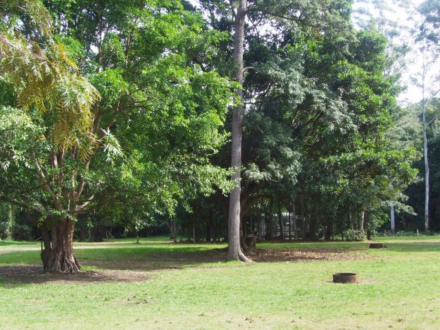  Fire rings are provided for communal use.