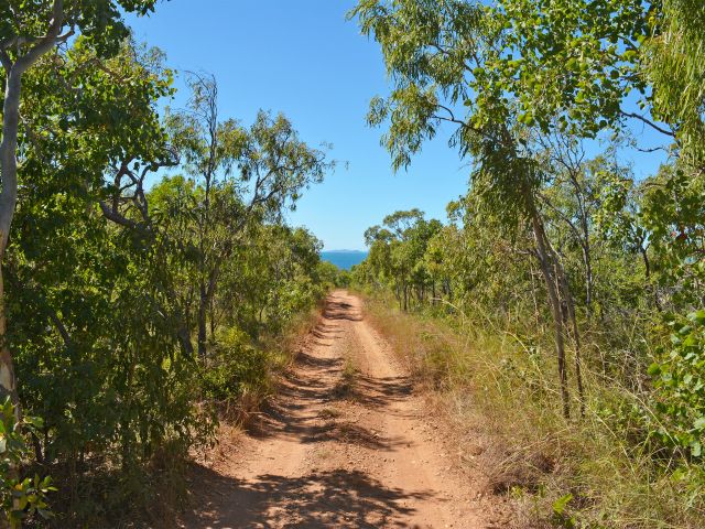 Enjoy ocean views as you drive to Cape Creek camping area.