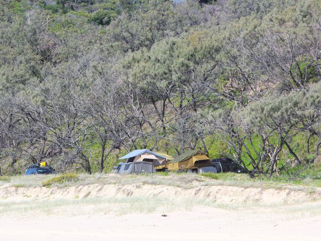 Bathed in morning light, this camping area is only a short stroll to the beach.