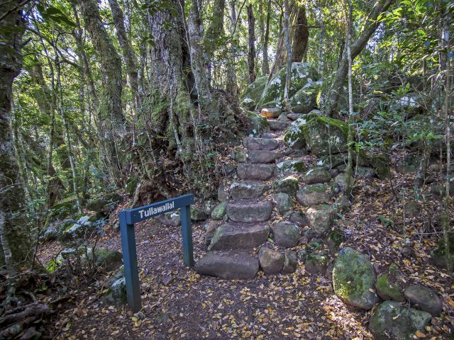 You'll head to the top of the small knoll on the Beechmont Range.