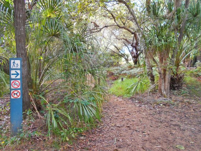 Explore the short track from the car park to the beach at Flat Rock day-use area.