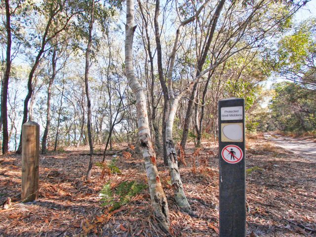 A shell midden located near the Walkers Point day-use area.
