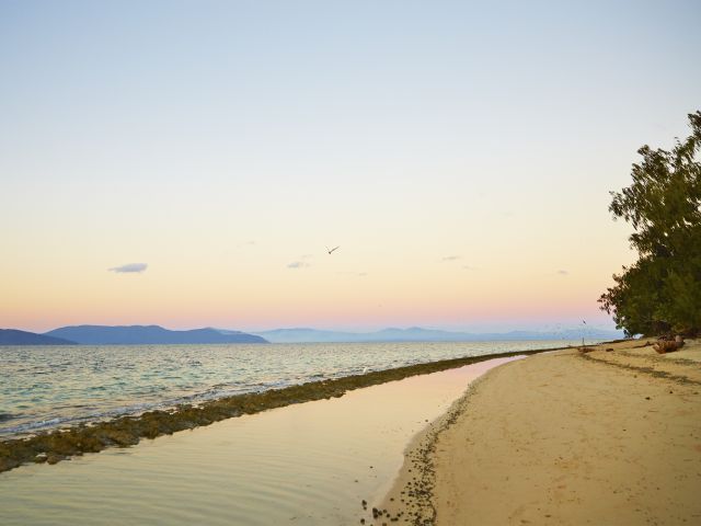 Experience the tranquillity of the Green Island beach walk at sunset.