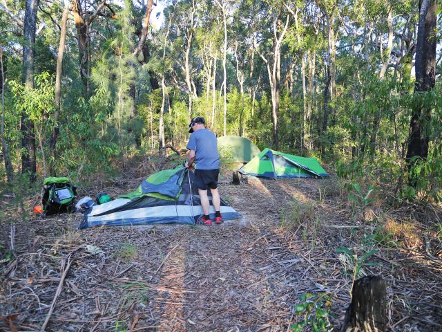 Photo of person setting up a tent in a eucalypt forest.