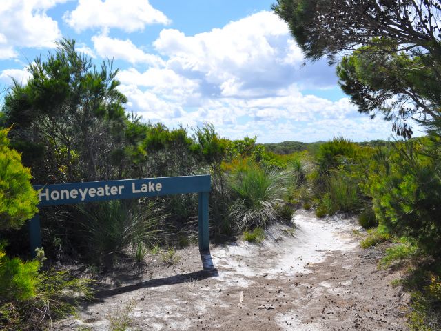 The Honeyeater Lake track leads to Honeyeater Lake.