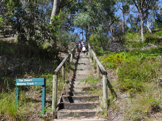 The track to The Desert from Tangalooma Resort.