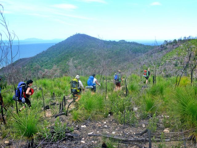 You'll feel a sense of remoteness and isolation on the Thorsborne Trail.