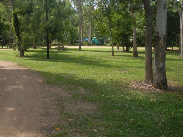 Set up camp in the open, grassy setting of Broadwater camping area, surrounded by tall eucalypt forests.