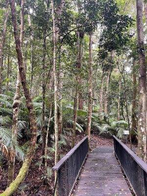Keep on the walking tracks and boardwalks.