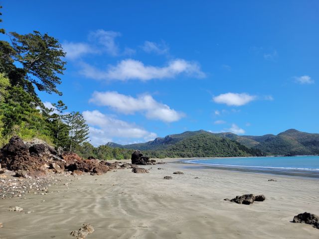 Photo of beach at low tide in Cape Hillsborough National Park