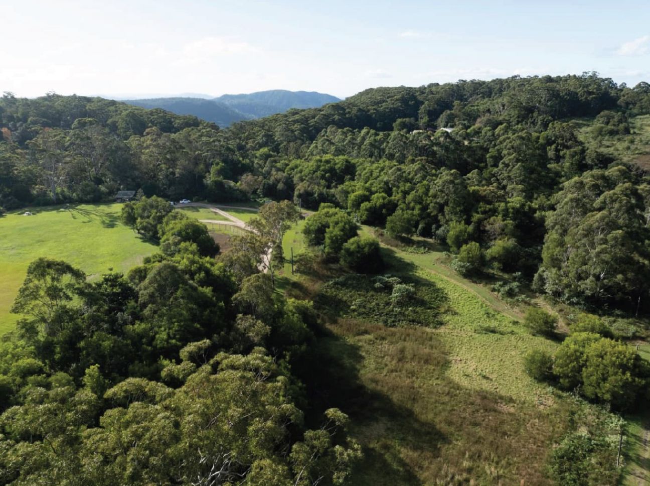 Photo of the Settlement picnic area viewed from the air showing trees and open grassy areas, as it is now