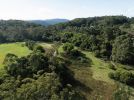 Photo of the Settlement picnic area viewed from the air showing trees and open grassy areas, as it is now