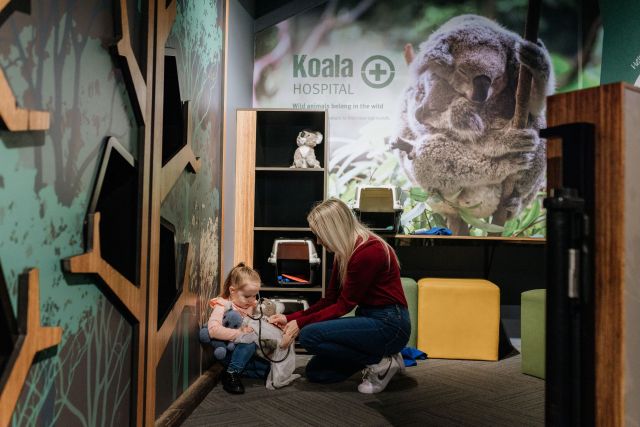 Photo of mother and child playing with toy koalas in wildlife hospital play area.